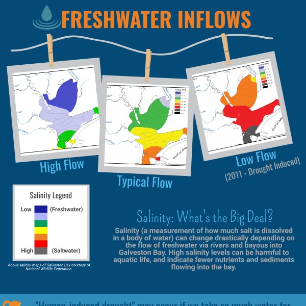 Fresh Water Inflows