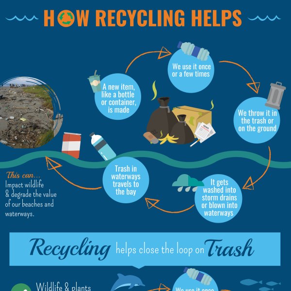 Litter and Trash