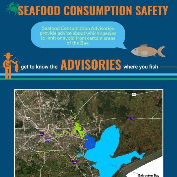 Seafood Consumption Safety