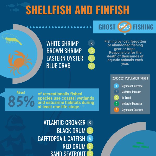 Shellfish and Finfish