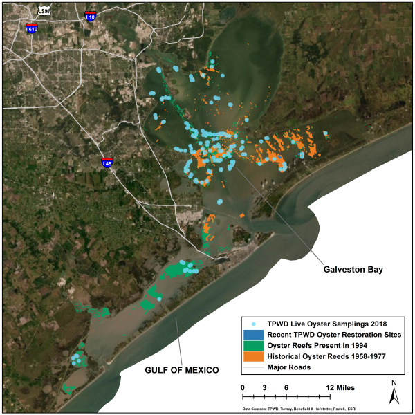 Oyster Population Sampling