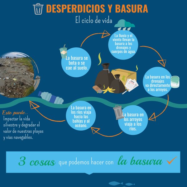Desperdicios y basura