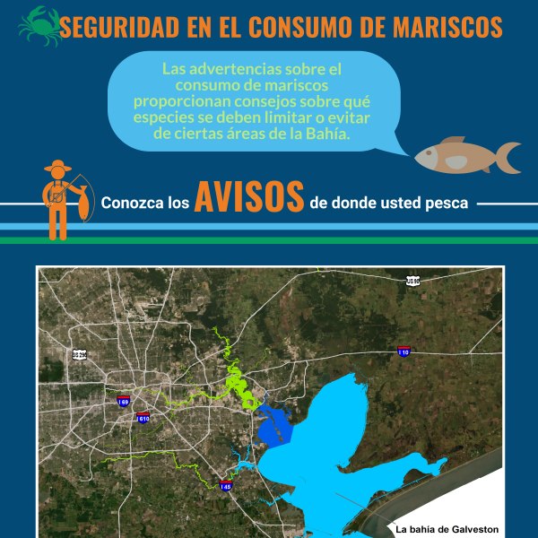 Seguridad en el consumo de mariscos