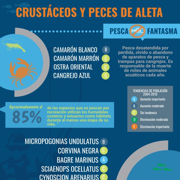 Crustáceos y peces de aleta