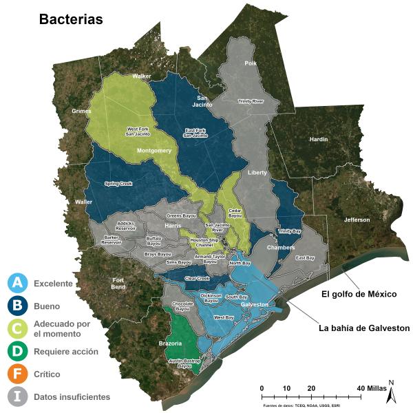 Las bacterias en el agua