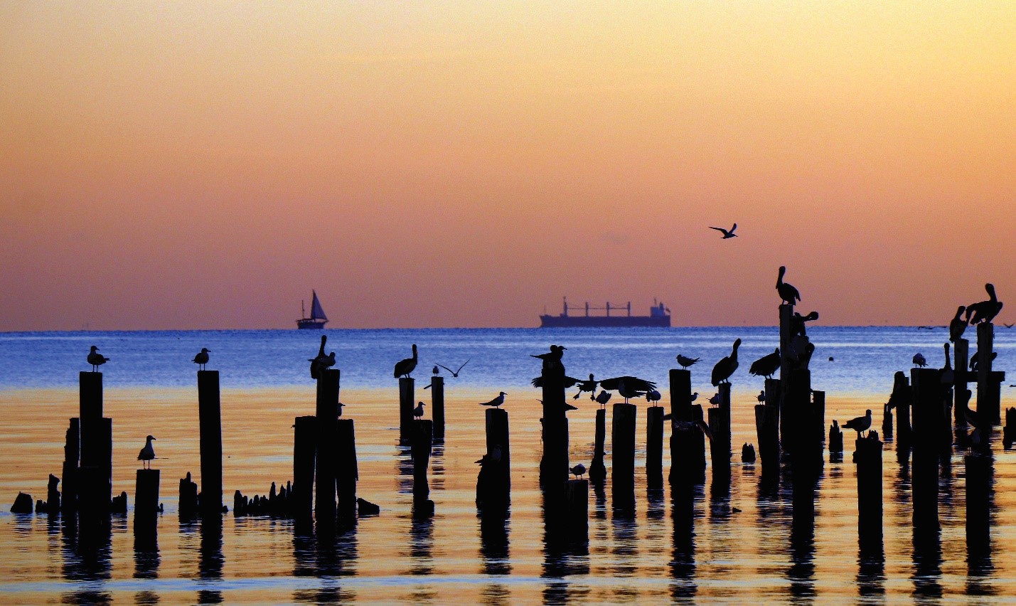 Photo taken by Galveston Bay Foundation volunteer, Gene Fissler perfectly captures the importance of the Bay.          