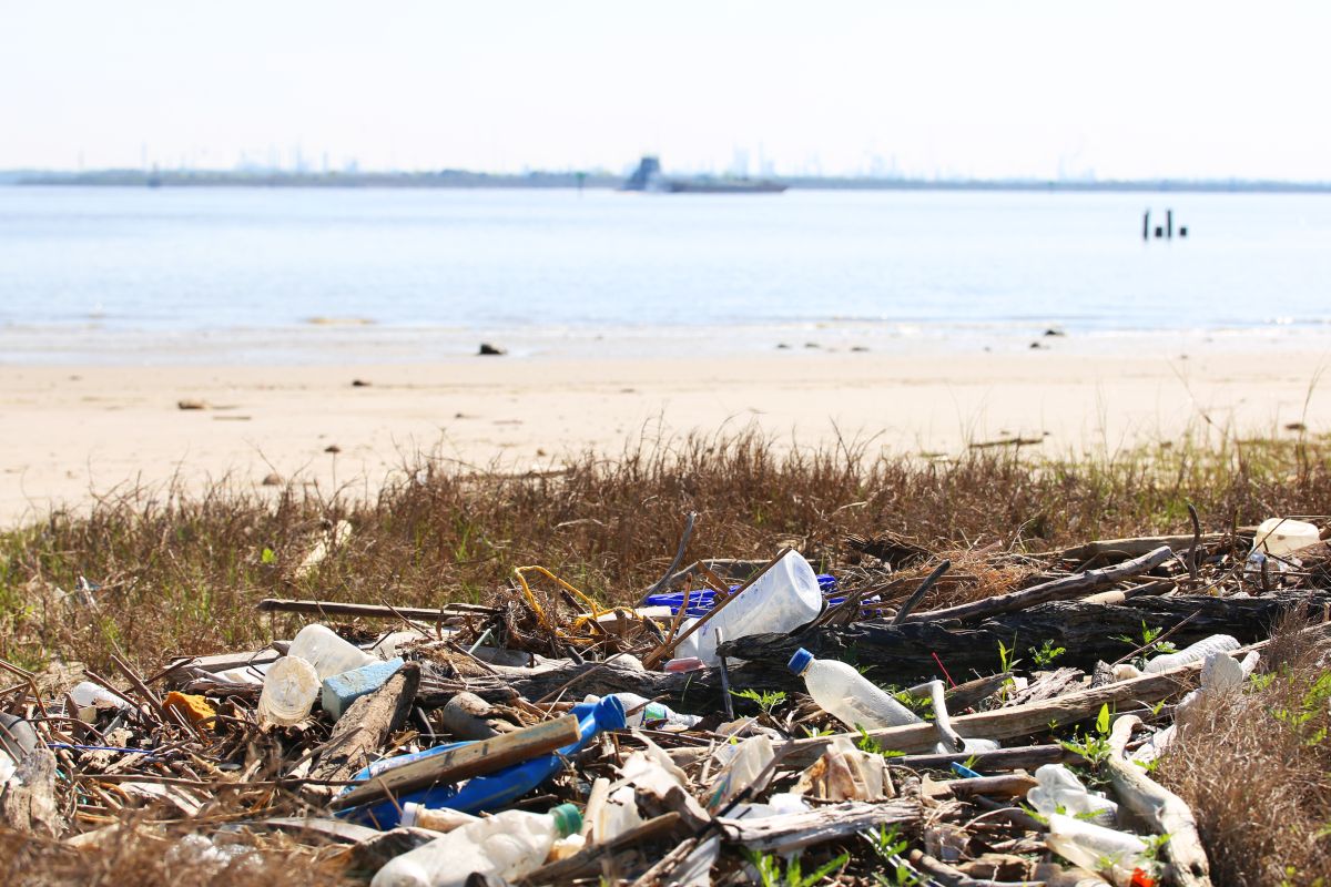 Debris on beach