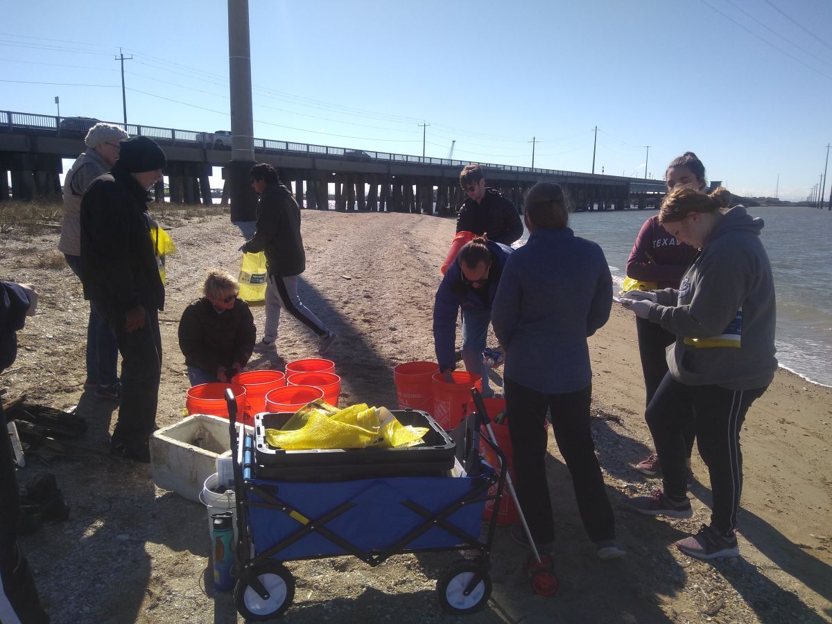 Shoreline Cleanup