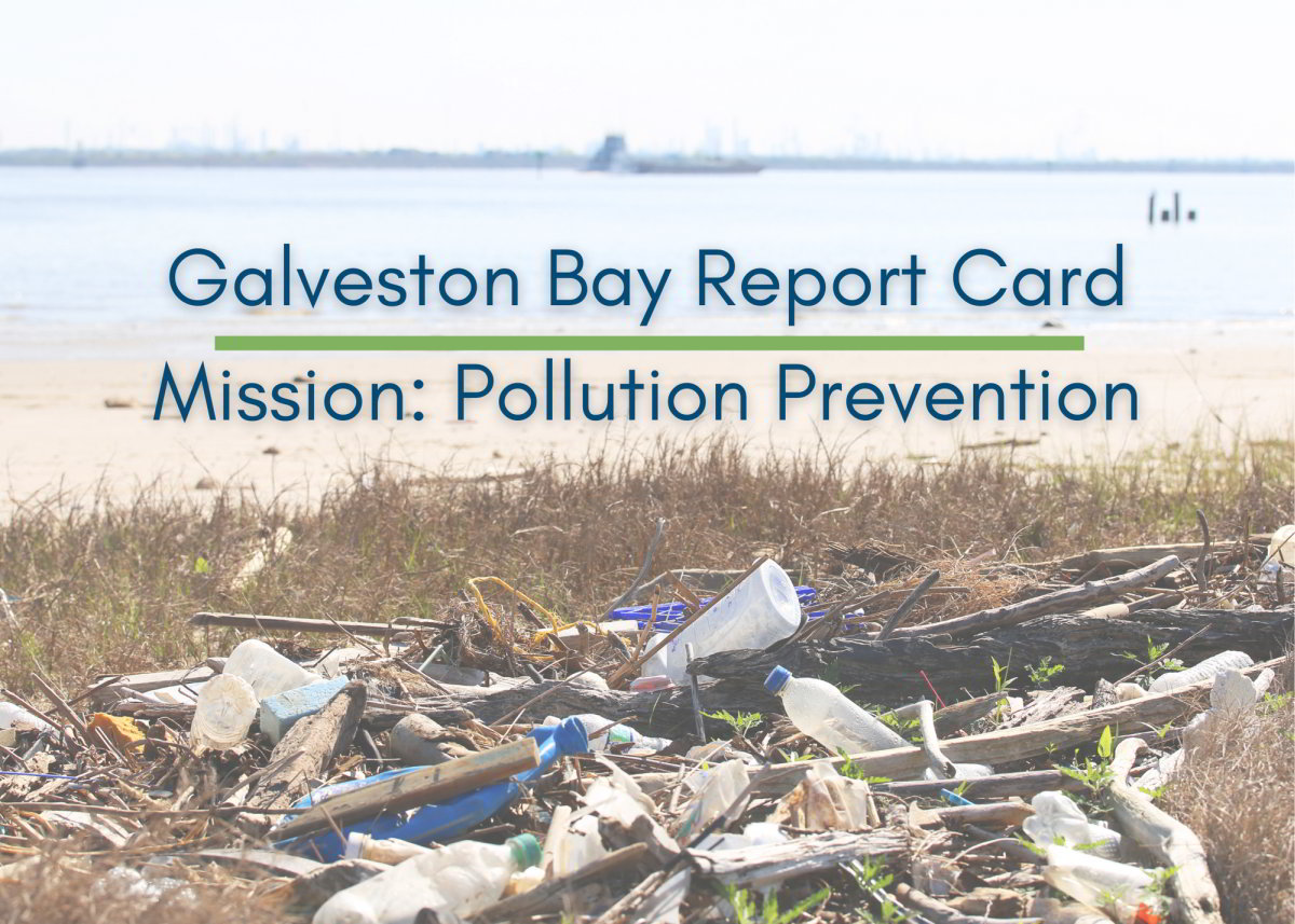 Mission_Pollution_Prevention