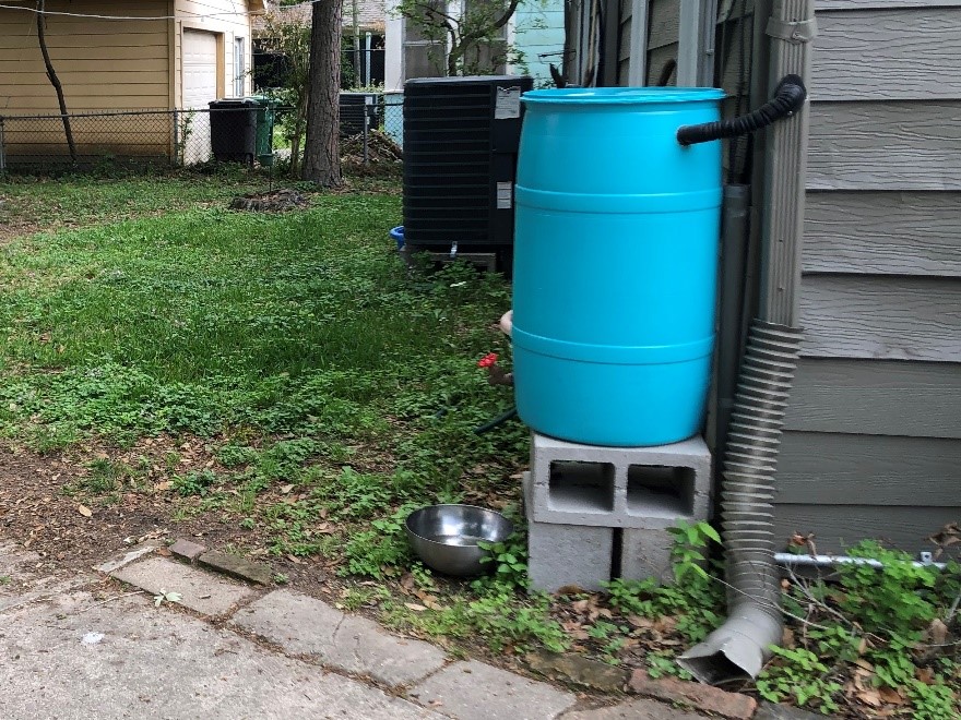 Rain barrel set up to receive water from a gutter downspout.